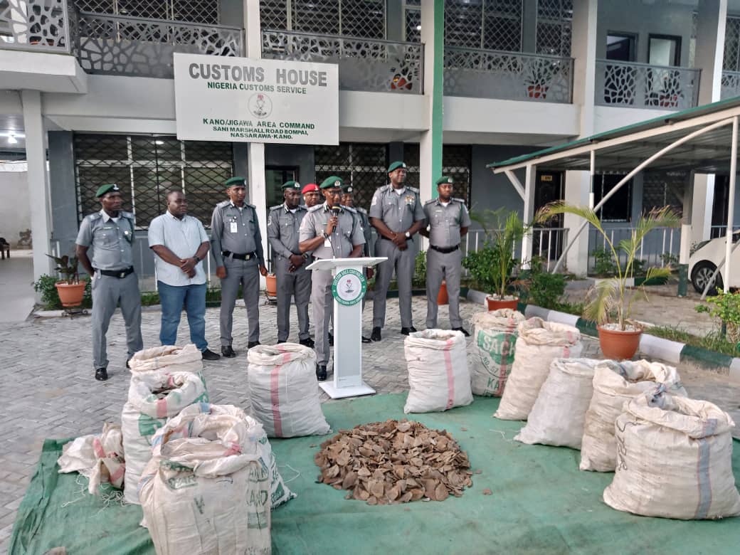 Kano Jigawa customs command intercepts 420kg pangolin scales vows to protect wildlife species Kano Jigawa customs command intercepts 420kg pangolin scales vows to protect wildlife species