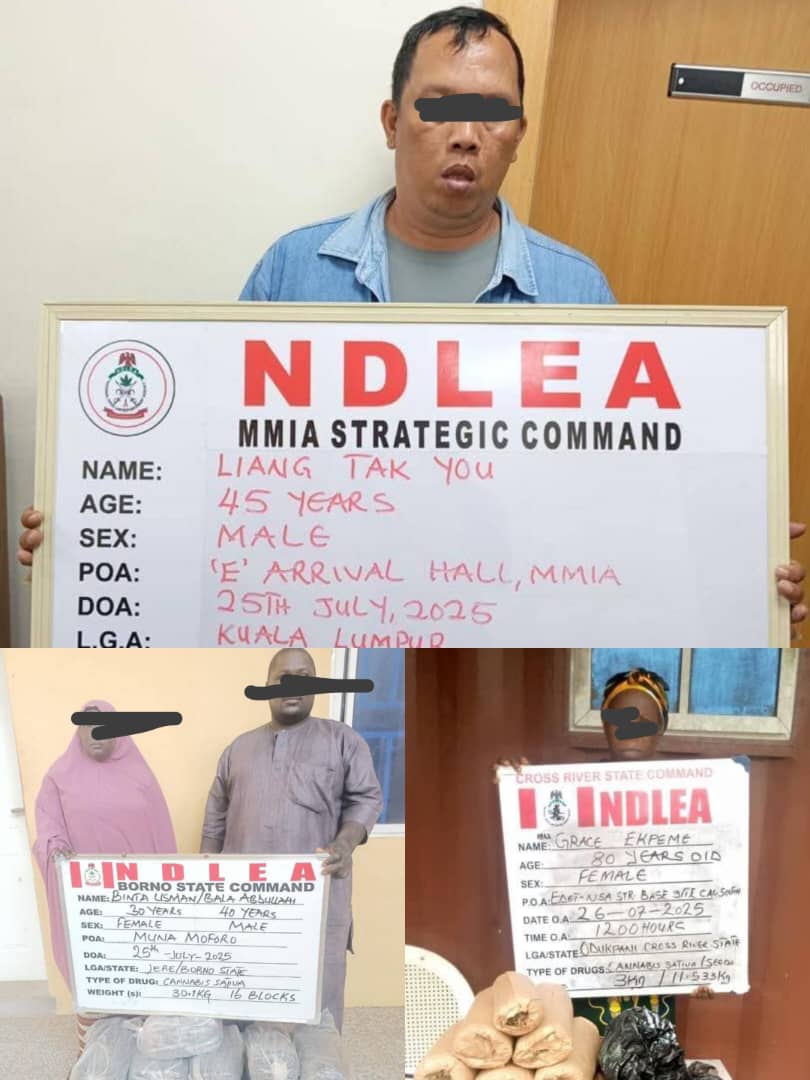  NDLEA arrests Chinese businessman 80 year old woman others over illicit drugs 