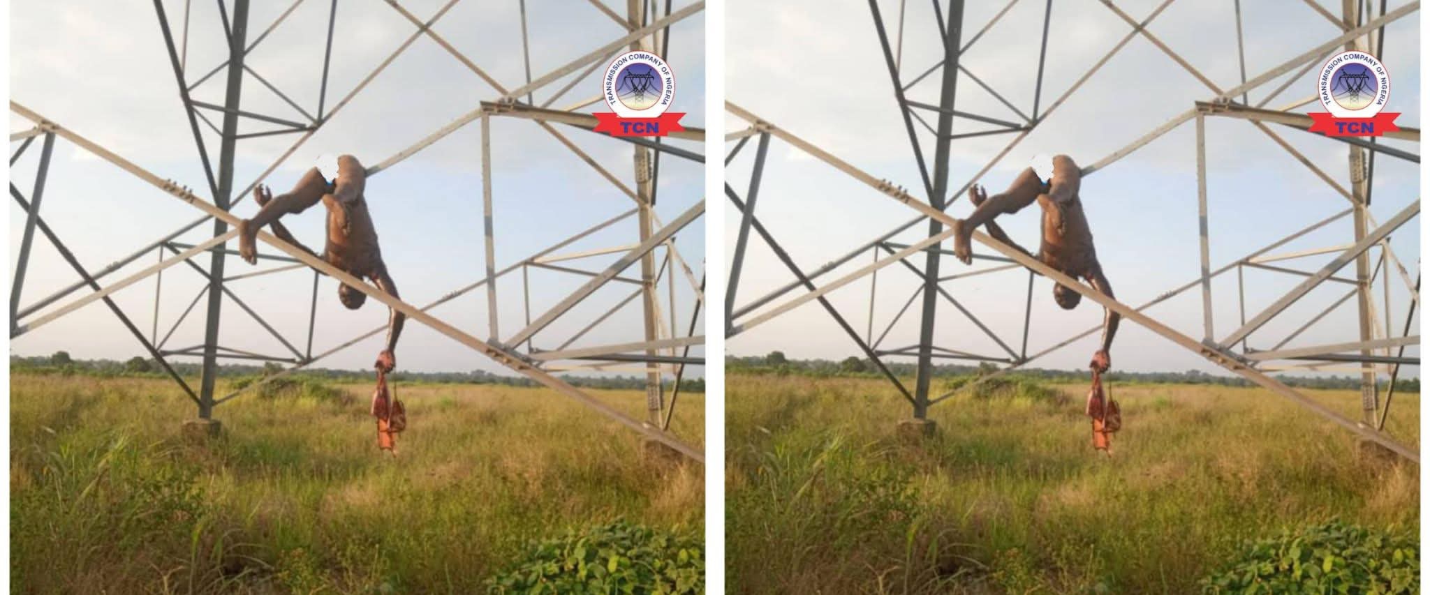 Man electrocuted while attempting to vandalise electricity tower Man electrocuted while attempting to vandalise electricity tower