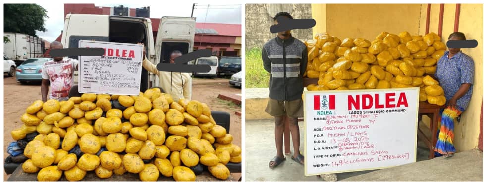  NDLEA nabs wanted drug baron intercepts N7 8bn opioids in Rivers 