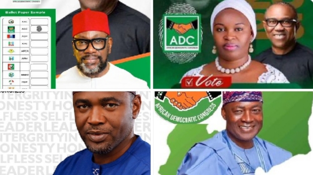  Bye elections Why Obidients should vote all ADC candidates Peter Obi 