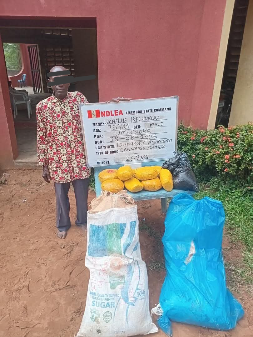 NDLEA busts 75 year old with drugs destroys massive cannabis farm in Taraba NDLEA busts 75 year old with drugs destroys massive cannabis farm in Taraba