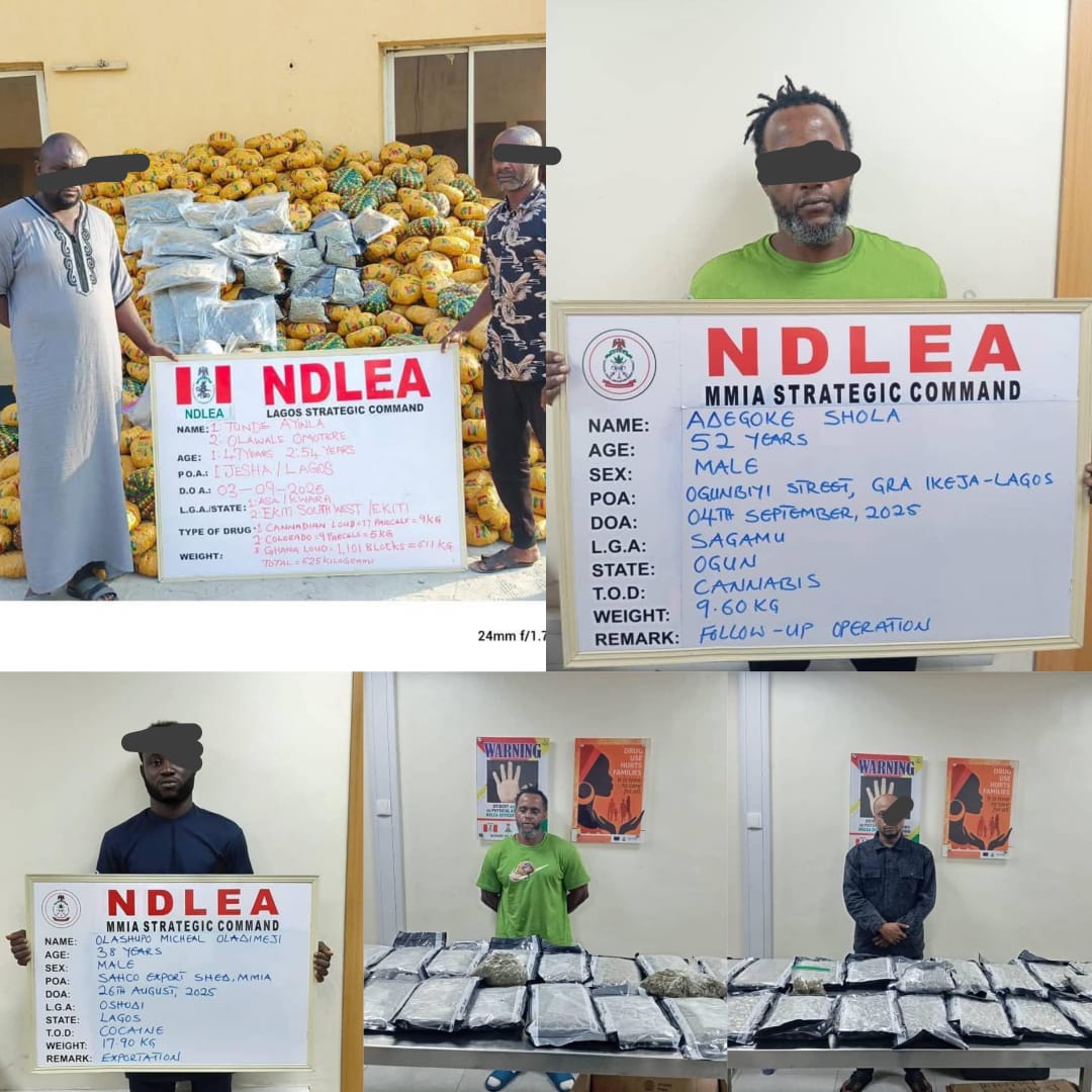 UK UAE Brazil 8217 s drug cartel smashed in Lagos as NDLEA seizes N5 3bn Australia bound cocaine charms UK UAE Brazil s drug cartel smashed in Lagos as NDLEA seizes N5 3bn Australia bound cocaine charms