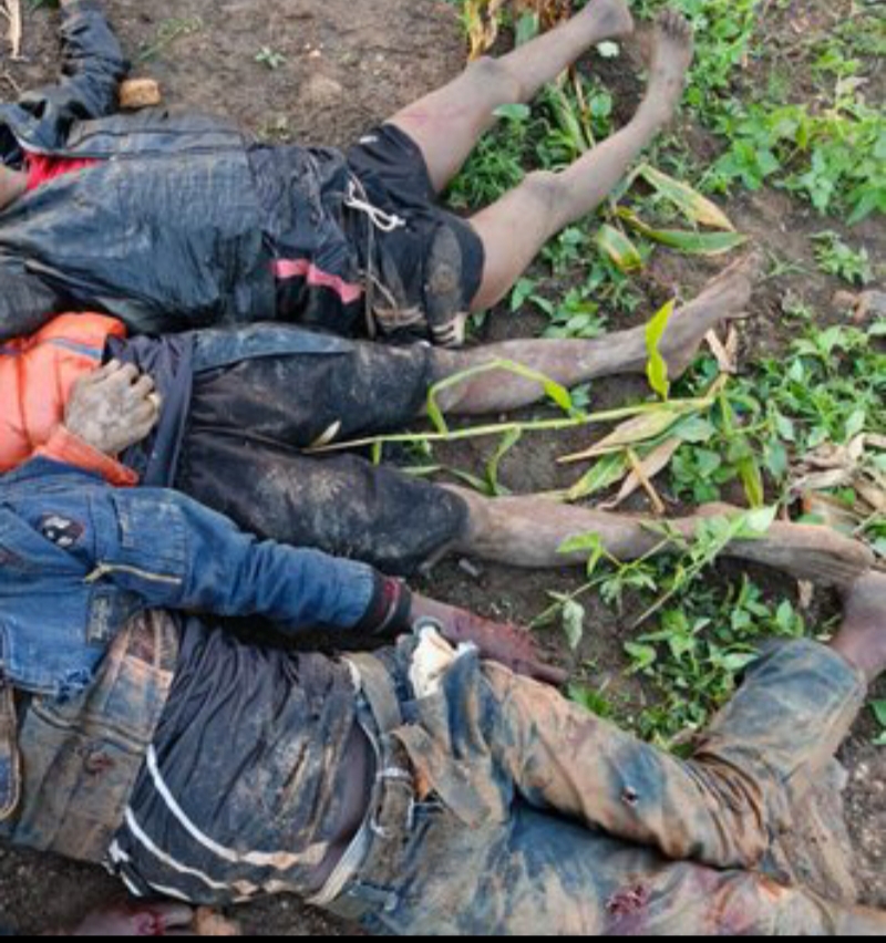 8216 How we gunned down 3 Abuja notorious kidnappers after tracking them to Zindar Forest 8217 How we gunned down 3 Abuja notorious kidnappers after tracking them to Zindar Forest