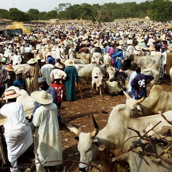  7 local govt chairmen order immediate closure of cattle markets in Kwara South 