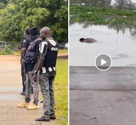 Body of woman recovered from Jabi Lake in Abuja Body of woman recovered from Jabi Lake in Abuja