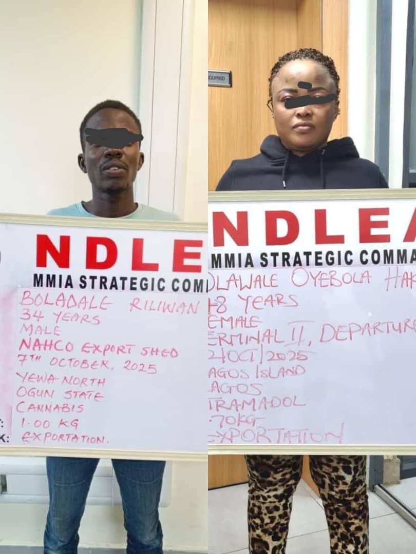 NDLEA foils drug smuggling to US UK DRC hidden in frozen snails bulbs NDLEA foils drug smuggling to US UK DRC hidden in frozen snails bulbs