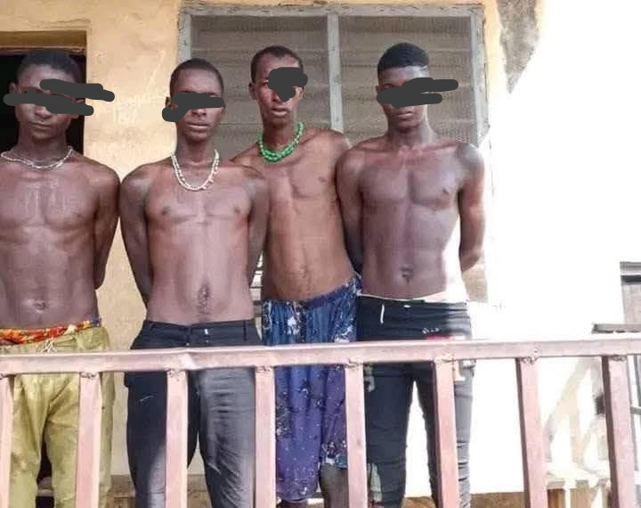  Vigilantes capture 4 suspected bandits in Kwara 