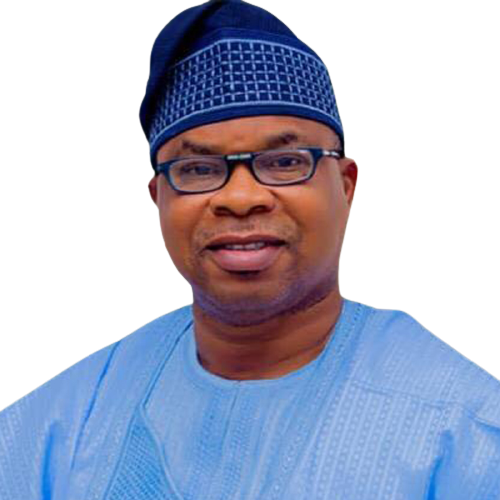 Prominent Tinubu 8217 s apointee resigns Prominent Tinubu s apointee resigns