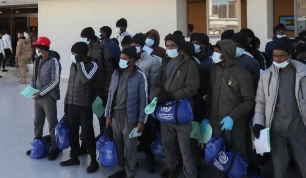  Canada deports 366 Nigerians as 974 others face removal 