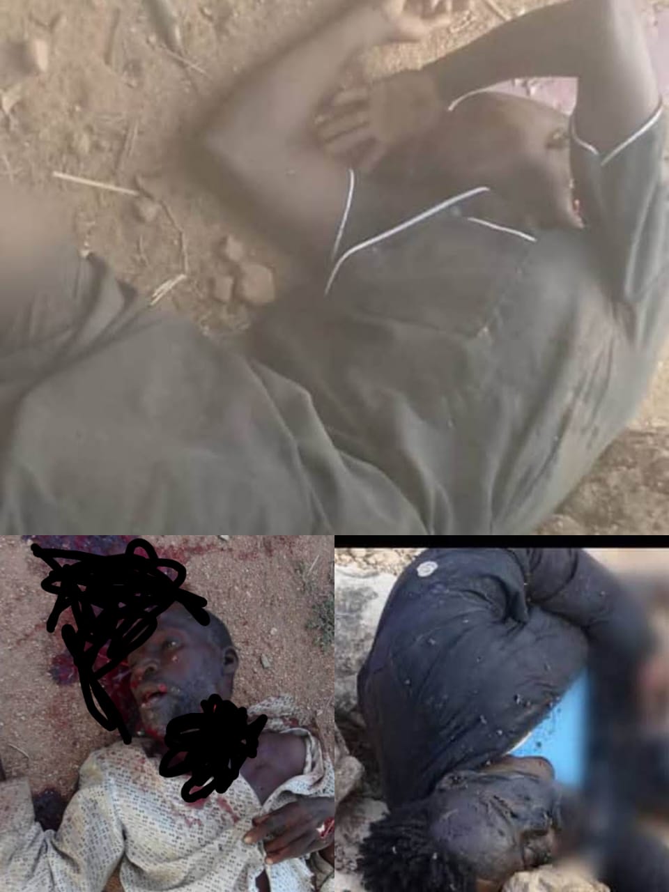  Terrorists flee to Mandara Mountains as troops neutralise 3 suicide bombers 