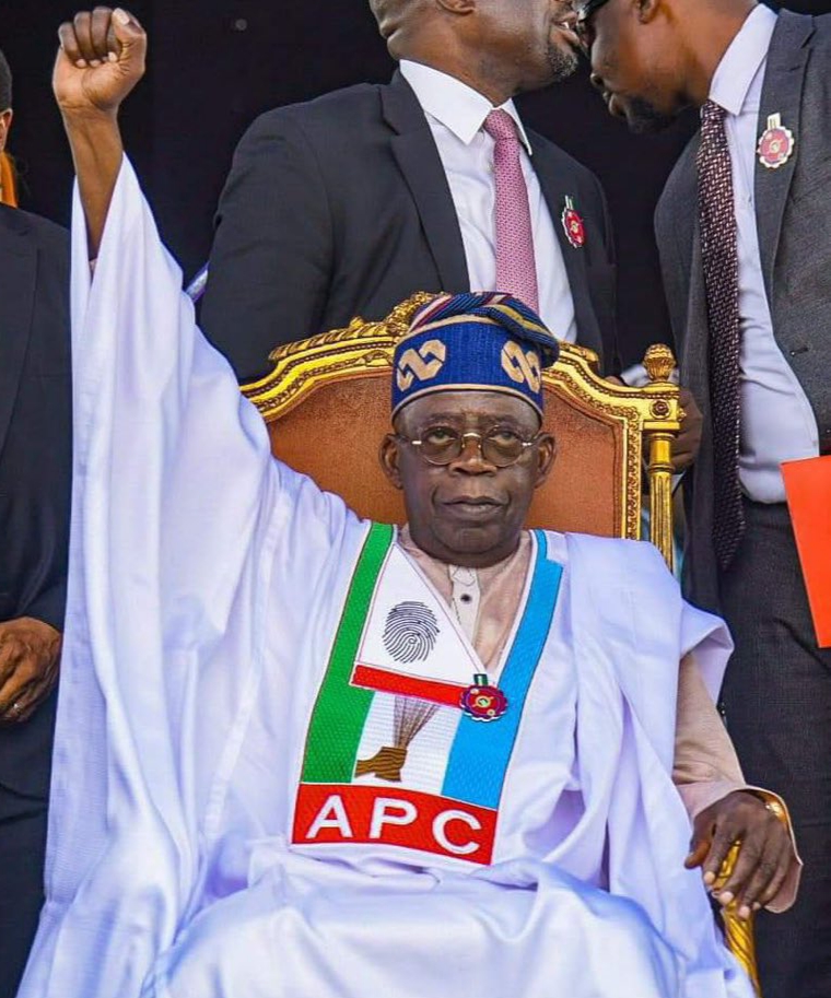  2027 S East APC govs vow to deliver region to Tinubu 