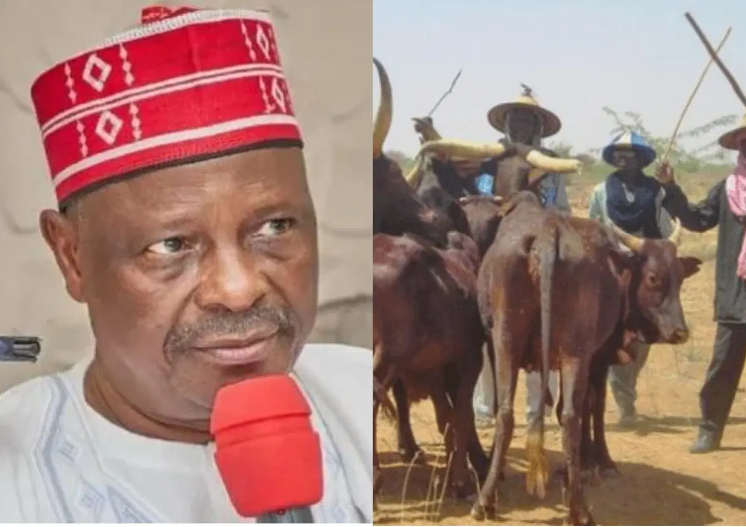  US Congress weighs sanctions against Kwankwaso Miyetti Allah over alleged Christian Persecution 