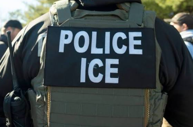  Full List 79 Nigerians on criminal list in US face deportation 